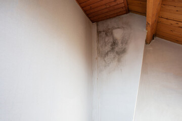 Black mold in the corner, old ceiling of building, water damage causing mold growth, dangerous...