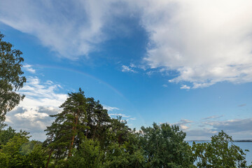View of tops of green trees on blue sky with a after rain on background. Sweden.