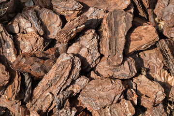 Natural background from pieces of bark in brown shades