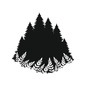Black forest silhouette