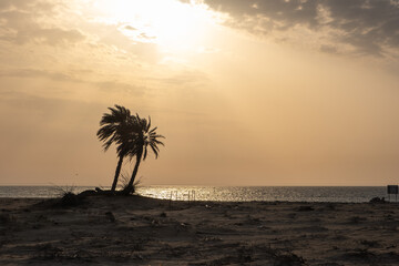 Umm Bab Beach in Al Shahaniya, Qatar. Also known as 'Palm Tree Beach' 