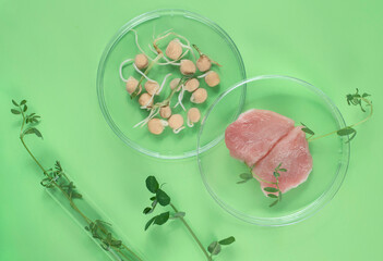 Cultivated steak, meat from the plant stem cell, New food innovation, no killing. Laboratory grown meat background