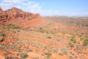 Red Cliffs Recreation Area, National Conservation Lands in Utah, USA