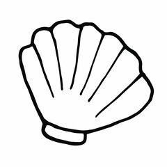 Hand drawn doodle shell.Summer.Vector doodle illustration.