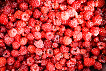 Background of fresh ripe raspberries