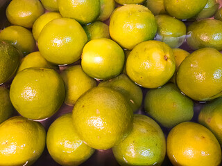 Bunch of oranges on the water