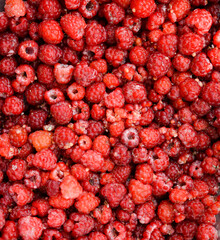 Background of fresh ripe raspberries