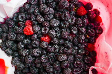 Background of fresh ripe blackberries