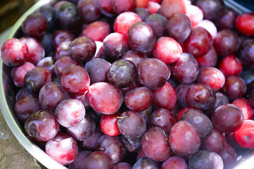 Fototapeta premium Ripe plums in a bowl