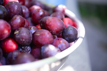 Ripe plums in a bowl