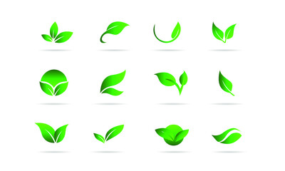 Set of green leaves eco friendly design elements. Nursery Store Concept Green sprout green leaves symbol vector icon set.