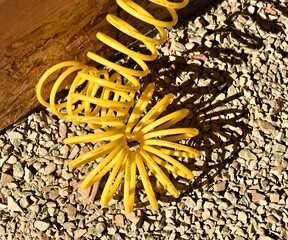 Coiled yellow air pressure hose