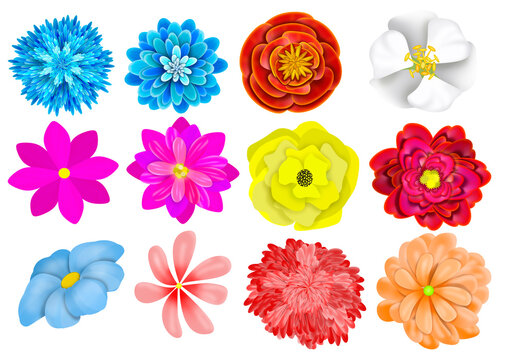 Collection of drawn flowers of different colors and shapes isolated on white background.