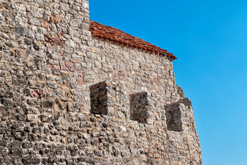 Fototapeta premium Algae in the adriatic sea