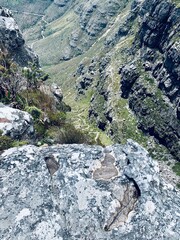 mountain river in the mountains