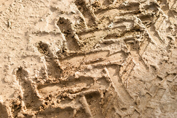 Background with big tractor wheel tracks on wet ground. The beginning of spring field work. Agricultural machinery. Desert truck racing.