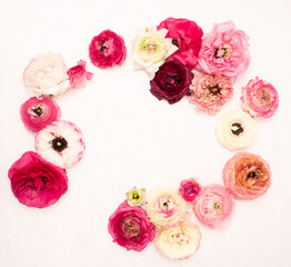 Fresh ranunculus floral flat lay on blush textured background