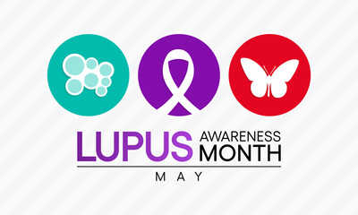 Lupus awareness month is observed each year in May. it is a disease that occurs when your body's immune system attacks your own tissues and organs (autoimmune disease). Vector illustration.