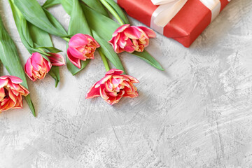 Fresh pink tulips with presents, place for text