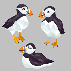 Cute puffins vector flat illustration.