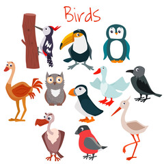 Set of cute cartoon birds. Vector flat illustration.