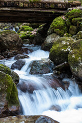 Wasserfall Wald Steine Waterfall Wood 