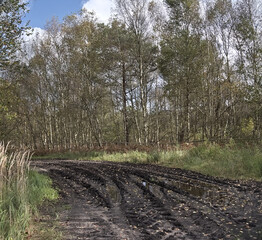 Feldweg auf schwarzem Moorboden mit tiefen Räderspuren