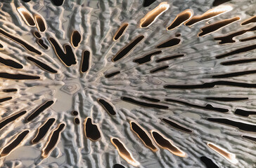 Wood patterned background with hidden backlight carved on the cnc machine