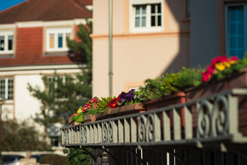 Fototapeta na wymiar Old houses in a residential area of Strasbourg. Spring, flowering trees.