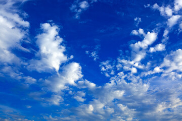 White fluffy clouds in the blue sky.