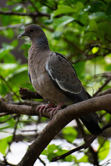 una agradable visita 