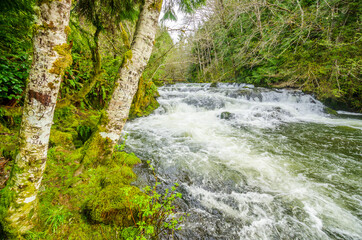 Majestic mountain river in long exposure with mountain background in Vancouver, Canada.