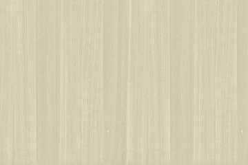 white cedar wood tree timber background texture structure