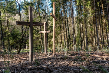 Christliche Holzkreuze im wiederaufforstenden Wald