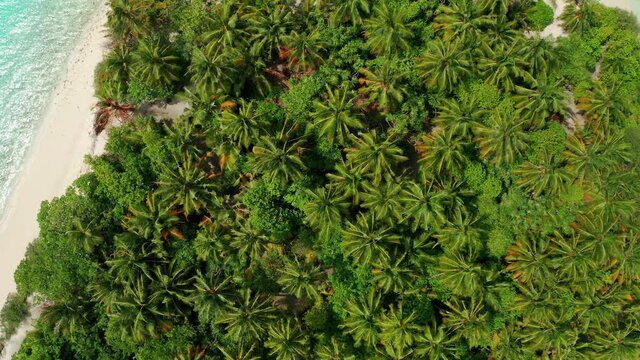 Scenic Aerial Drone Fly Over Shot Above Maldives Tropical Island, coconut Palm trees. Slow-motion aerial video of the flight to the top, the drone flies away from the island. Thinadhoo (Vaavu Atoll) i