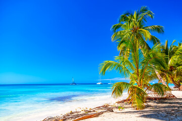 Summer vacation and tropical beach concept. Sandy beach with palms, sailboats and turquoise sea. Vacation island.