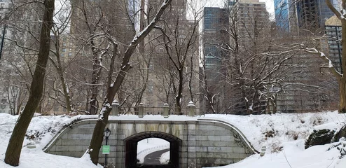 Fotobehang New York Arch in New York City's Central Park on a winter day with a cityscape in the background. The arch is and ground is covered in snow.  © Brothers Welch