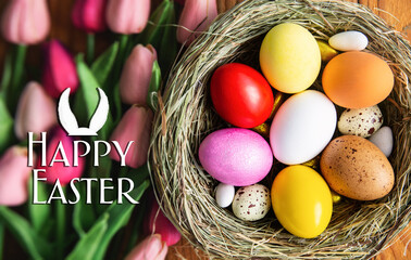 Happy Easter card background, colored dark black Easter eggs in nest top view on wooden background with spring flowers, selective focus image.