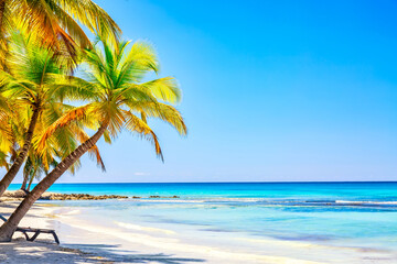 Naklejka na ściany i meble Summer vacation and tropical beach concept. Sandy beach with palms and turquoise sea. Vacation island.