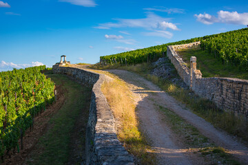 Chemin et porte du Clos des Lambrays, vignes de Morey-Saint-Denis, Côte de Nuits en Bourgogne