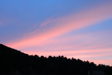 Obraz premium Silhouette of a forest on a pink sunset 