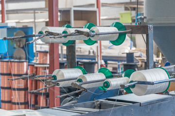 Spools of thread inside of the plant.