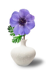 One blue anemone in a white vase in the style of the seventies on the table with books as an interior decoration. Copy space