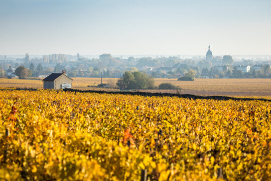 Cabotte, vignes d'automne et clocher de Beaune, en Bourgogne