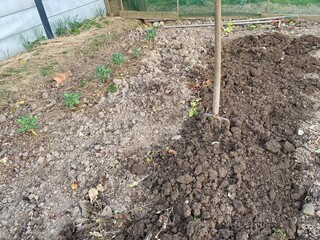 Retourner la terre du potager à La Fourche 