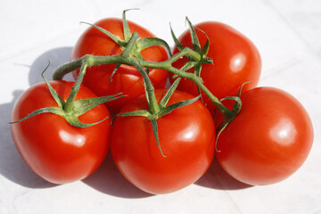 tomatoes on a vine