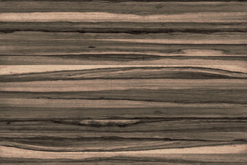 olive tree wood background texture structure backdrop