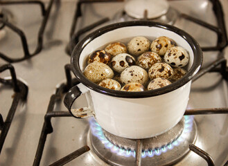 Huevos de codorniz cocido