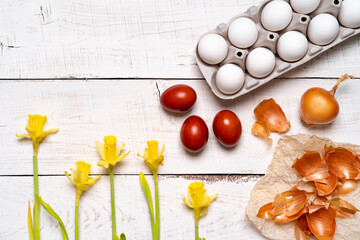 Easter eggs are painted with natural egg dye from fruits and vegetables, eggs are painted with onion husks on a white wooden table and yellow daffodils, copy space
