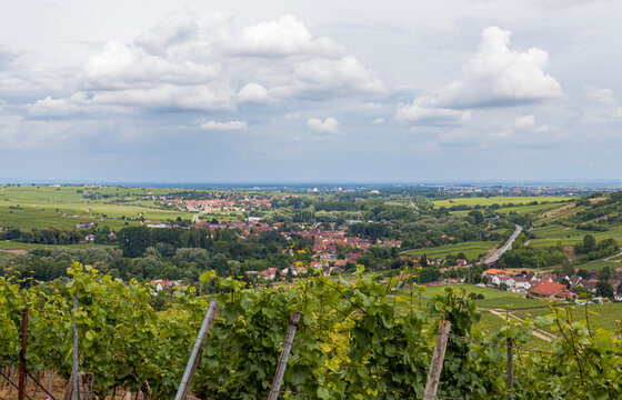 Blick auf den Weinort Birkweiler